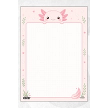 A4 Bloknot Çizgisiz Defter - 50 Yaprak - Memopad - Notepad - Not Defteri - Not Kağıdı - 4144 Çok Renkli