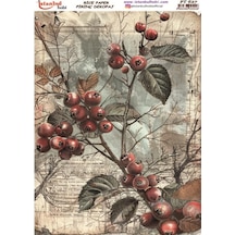Pirinç Dekopaj Kağıdı 30x42cm Pt-627 Çiçek Meyve