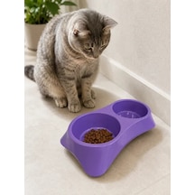 İkili Model Beton Kedi Köpek Mama Ve Su Kabı 24cm 12cm 5cm - Mor