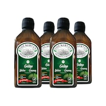 Emr Kervan Ginkgo Biloba & Ginseng Ekstrakt 250 Ml 4 Adet