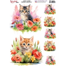 Pirinç Dekopaj Kağıdı 30x42cm Pt-1501 Çiçek Kedi