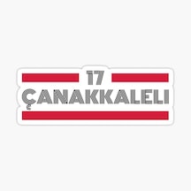 17 Çanakkaleli Plaka Araba Sticker Yapıştırması