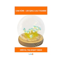 Led Işıklı Kendin Yap Lale Cam Küre 1 Adet