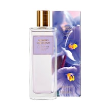 Women's Collection Charming Violet Edt Çiçeksi