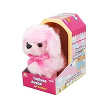 Sunman Sevimli Köpek Poodle.