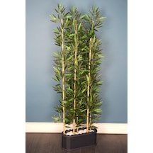 Yapay Çiçek Deposu Dekoratif Saksıda Kumaş Yapraklı 5 Çubuklu Bambu Seperatör 20x50x180cm