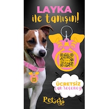 Petjoo 22.Layka Sarı-Pembe Qr'lı Köpek Künyesi