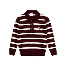 U.S. Polo Assn. Erkek Çocuk Bordo Kazak /triko 50315627-vr014