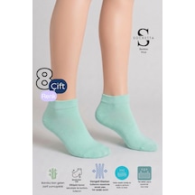Socketta Kadın Bambu Dikişsiz 8'li Karışık Renk Patik Çorap - Premium Yeşil-pudra-gül Kurusu-bej-ş.pembe-pembe-laci-lila