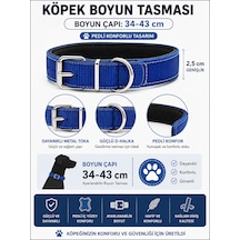 Pedli Köpek Boyun Tasması 34-43 Cm 2,5 Cm Dokuma Naylon Metal Tokalı - Saks Mavi Çok Renkli