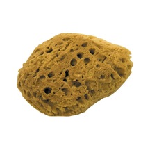 Dekor 1474 Doğal Deniz Süngeri Orta