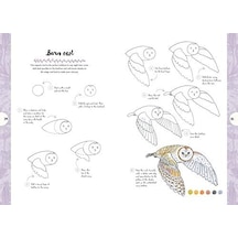10:: Draw 60 Plants & Animals İn 10 Easy Steps