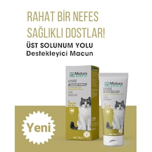 Mixtura Pharma Lysine Kedi Üst Solunum Yolu Macun - Kedi Maltı