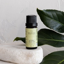10 ML