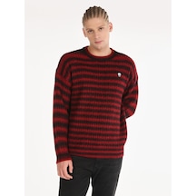 Colins Regular Fit Bisiklet Yaka Triko Mor Erkek Kazak Cl1065907 Mor