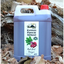 Kırmızı Pancar Sirkesi 5lt %100 Katkısız Doğal