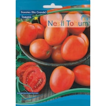 NesilRio GRande Domates Tohumu 3 GR