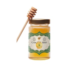 Premium Çam Balı 350g %100 Saf, Şekersiz Ham Bal