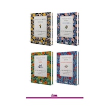 Yeşilin Kızı Anne 4 Kitap Set