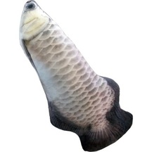 Eastland 40 CM Arowana Peluş Kedi Oyuncağı