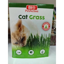 Bio Pet Active Kedi Çimi Yeni