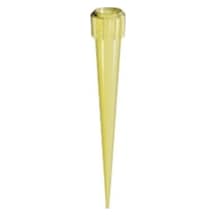 Sarı Pipet Ucu 200 µl Sarı – 1000 Adet / Paket