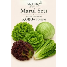 5 Çeşit Marul Tohumu Özel Seti 5.000+ Tohum Kıvırcık, Iceberg & Göbek, Paris Island, Lollo Rosso, Yedikule