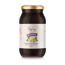 Organic Windy Valley Organik Dut Pekmezi 460 G