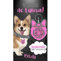 Petjoo 15.T.Teg Pembe-Gri Qr'lı Köpek Künyesi