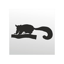 Folyo Sticker Kokarca 50cm Uzunluk Siyah