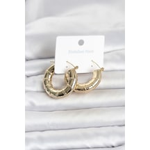 316l Çelik Gold Renk Bambu Model Halka Kadın Küpe Tj-bkp11828 Çok Renkli