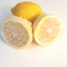 Limon Bonesi / 50 Adet / Bitki Çayı Bonesi Pf Plastik 10 X 15 Çok Renkli Diğer
