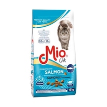 12 Kg Kuru - Kedi - Somonlu 100 G