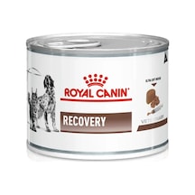 Recovery Kedi & Köpek Sı 195gr Kedi Ve Köpekler İçin Beslenme Desteği