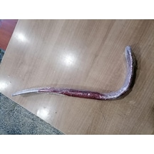 Dg Levye Trança