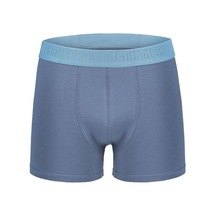 Efsi 3019 Erkek Boxer 001