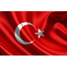 Vatan Türk Bayrağı 40X60CM Polyester Kumaş