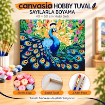 Sayılarla Boyama Numaralı Tuval Seti Boya Fırça Dahil 40x50 Cm Tavus Kuşunun Rüyası