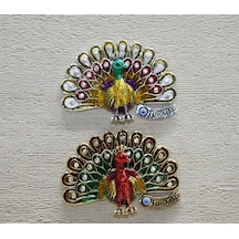 Just Cheap Store Swaroski Tavuskuşu Magnet Alk3852