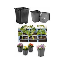 Kare Üretim Saksısı 50 Adet - 11x11 Cm Thermoform Saksı