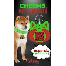 Petjoo 18.Cheems Kırmızı-Yeşil Qr'lı Köpek Künyesi