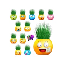 Adam Çim 30 Adet Doğum Günü Hediye Paketi Ile Birlikte Okul Öncesi Kreş Aktivite Etkinlikler Emoji