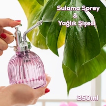 Perotti 15731 Mor Vintage Cam Bitki Sulama Şişesi Sprey Şişe