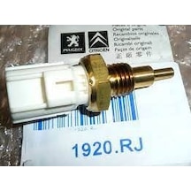 PEUGEOT 1920.RJ Hararet Müşürü .1.0