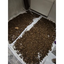 3 Kg