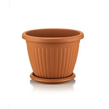 Serinova Keremit Kemer 11,5 Ltsaksı 2 Adet