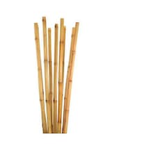 Bambu Bitki Destek Çubuğu 75 Cm 20 Adet