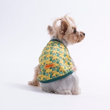 Cactus Tişört Kedi Köpek Tişörtü-kedi Köpek Kıyafeti