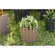 3,5 Litre Saksı