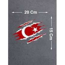 20x15 Cm